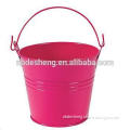 Colored Buckets Decorative Tinplate Indoor Mini Galvanized Containers Flowers Holder